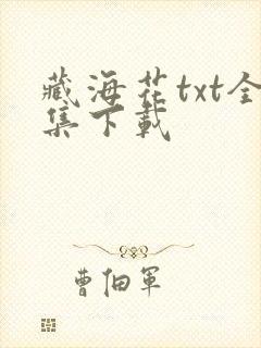 藏海花txt全集下载