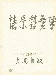 林辰赵无极大魏国小说免费阅读