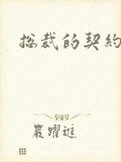 总裁的契约妻封面