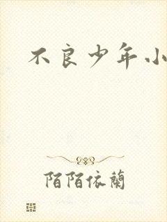 不良少年小说
