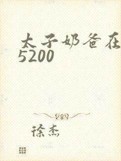 太子奶爸在花都5200