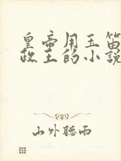 皇帝用玉笛整摄政王的小说封面