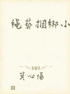 绳艺捆绑小说封面