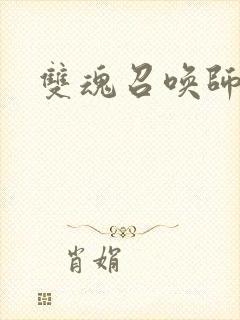 双魂召唤师