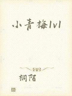 小青梅1v1
