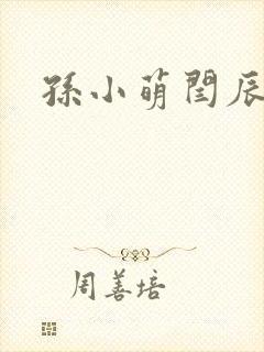 孙小萌闫辰封面