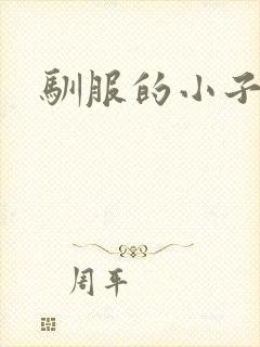 驯服的小子4
