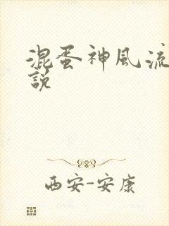 混蛋神风流史小说封面