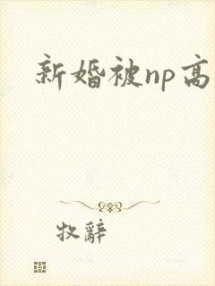 新婚被np高h