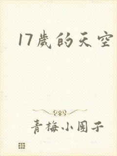 17岁的天空封面