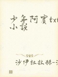 少年阿宾txt小说