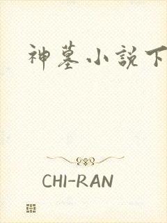 神墓小说下载
