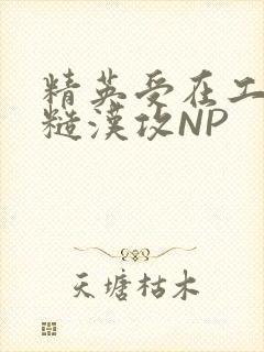 精英受在工地被糙汉攻NP