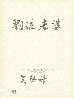 刘流老婆