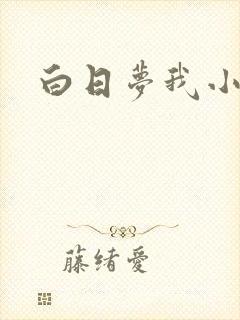 白日梦我小说
