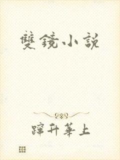 双镜小说