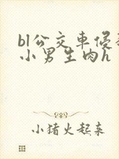 bl公交车侵犯小男生肉h