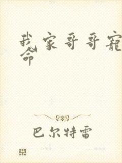 我家哥哥宠妹如命