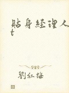 贴身经理人txt