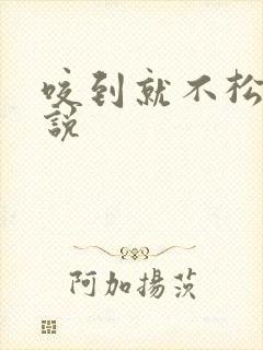 咬到就不松口小说封面