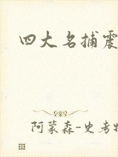 四大名捕震关东
