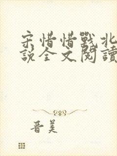 宋惜惜战北望小说全文阅读封面