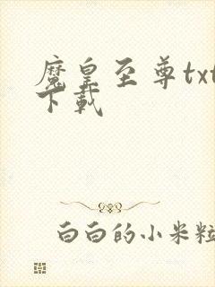魔皇至尊txt下载封面