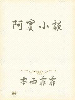 阿宾小说