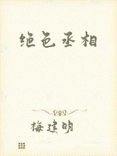 绝色丞相