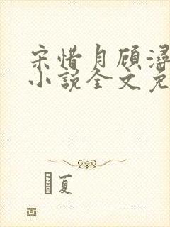 宋惜月顾浔渊的小说全文免费阅读