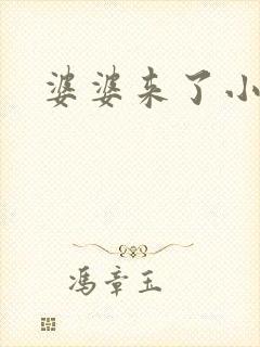 婆婆来了小说