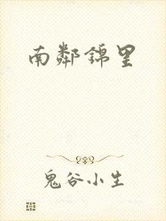南邻锦里封面