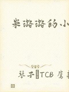 米璐璐的小说封面