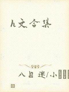 h文合集