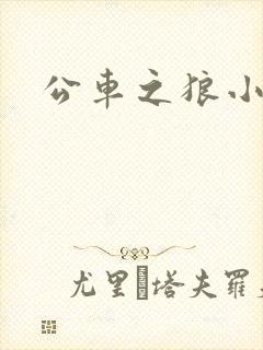 公车之狼小说封面