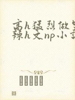 高h猛烈做哭高辣h文np小说