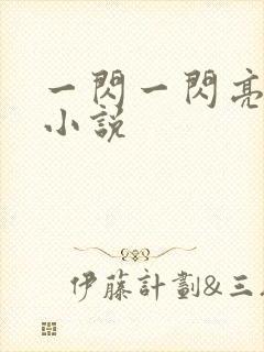一闪一闪亮星星小说