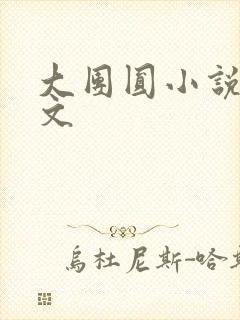 大团圆小说集全文
