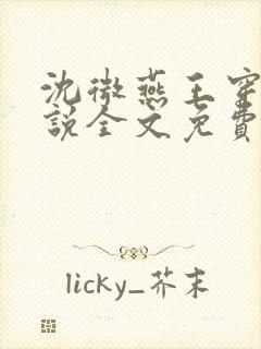 沈微燕王穿越小说全文免费阅读