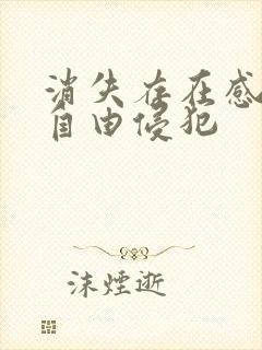 消失存在感消失自由侵犯封面