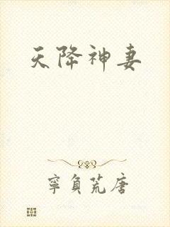天降神妻