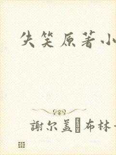 失笑原著小说