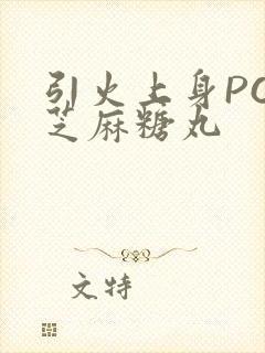 引火上身POP芝麻糖丸封面