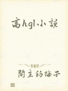 高hgl小说