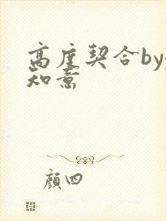 高度契合by洛知意封面