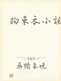 拘束衣小说封面