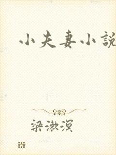 小夫妻小说封面