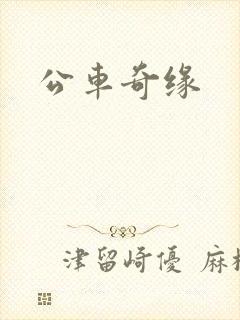 公车奇缘