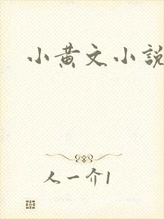 小黄文小说封面