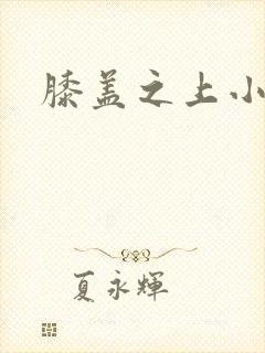 膝盖之上小说
